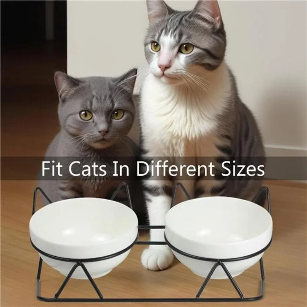 Elevated Tilted Cat Bowls for Indoor Cats，Raised Ceramic Cat Bowl Elevated15°